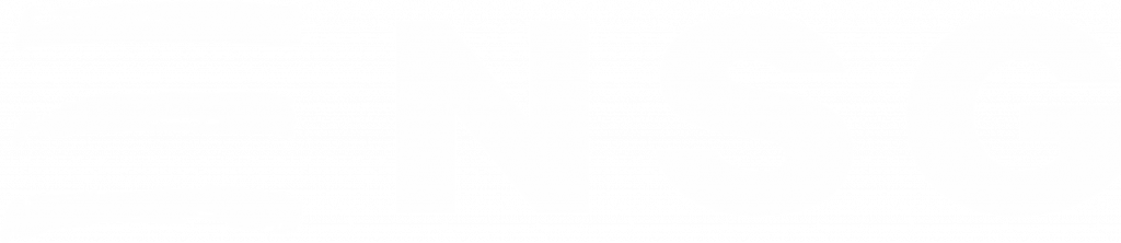 LOGO NSG